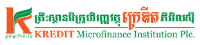 KREDIT Microfinance Institution Plc